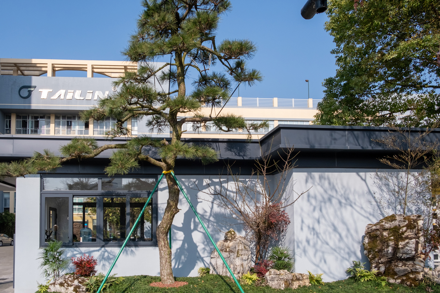 1736660870151619DCXY.jpg 歲寒三友.jpg